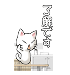 プチ猫かわいい！その1（白）（個別スタンプ：31）