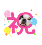 ぼぼくんスタンプ3（個別スタンプ：23）