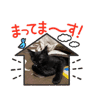 ちびミツ＆ニャンズ（個別スタンプ：15）