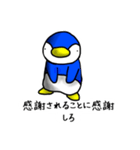 ペンギンペン次郎スタンプ1（個別スタンプ：12）