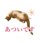 イケイケめぐ虎2（個別スタンプ：9）