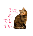イケイケめぐ虎2（個別スタンプ：11）