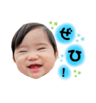 ひなたんの日常会話スタンプ（個別スタンプ：24）