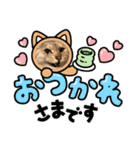 トラの日常の巻②（個別スタンプ：1）