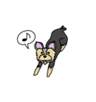 臆病なヨーキー（個別スタンプ：5）
