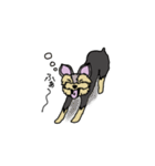 臆病なヨーキー（個別スタンプ：6）
