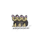 臆病なヨーキー（個別スタンプ：13）