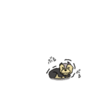 臆病なヨーキー（個別スタンプ：15）