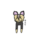 臆病なヨーキー（個別スタンプ：16）