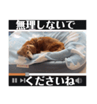 はなのスタンプの巻2（個別スタンプ：21）