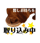 はなのスタンプの巻2（個別スタンプ：25）
