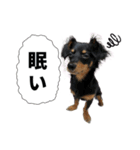 チクワstamp（個別スタンプ：2）