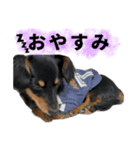 チクワstamp（個別スタンプ：4）