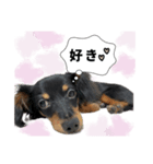 チクワstamp（個別スタンプ：7）
