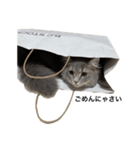 ろくぅ（個別スタンプ：4）