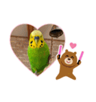 ぽぽたろさまスタンプ（個別スタンプ：2）