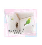 ぽぽたろさまスタンプ（個別スタンプ：6）