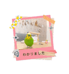 ぽぽたろさまスタンプ（個別スタンプ：7）