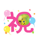 ぽぽたろさまスタンプ（個別スタンプ：10）