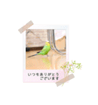 ぽぽたろさまスタンプ（個別スタンプ：11）