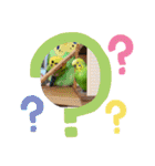 ぽぽたろさまスタンプ（個別スタンプ：14）