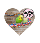 ぽぽたろさまスタンプ（個別スタンプ：17）