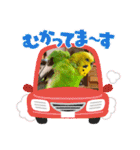 ぽぽたろさまスタンプ（個別スタンプ：19）