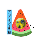 ぽぽたろさまスタンプ（個別スタンプ：22）