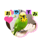 ぽぽたろさまスタンプ（個別スタンプ：28）