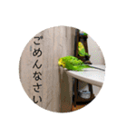ぽぽたろさまスタンプ（個別スタンプ：29）