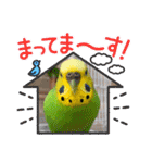 ぽぽたろさまスタンプ（個別スタンプ：37）