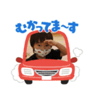 こうちゃんスタンプ4(4歳、5歳)（個別スタンプ：6）