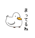 会える鳥さんズ（個別スタンプ：5）