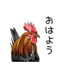 会える鳥さんズ（個別スタンプ：7）