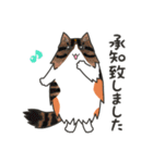 40匹のねこの、みんなで了解！（個別スタンプ：3）