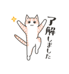 40匹のねこの、みんなで了解！（個別スタンプ：5）