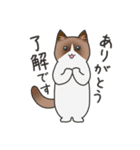 40匹のねこの、みんなで了解！（個別スタンプ：19）