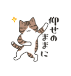 40匹のねこの、みんなで了解！（個別スタンプ：20）