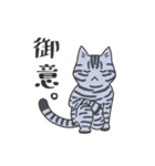 40匹のねこの、みんなで了解！（個別スタンプ：22）