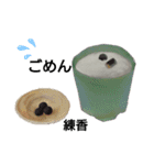 お香の仲間たち（個別スタンプ：7）