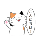 三毛猫の日常会話（個別スタンプ：2）