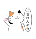 三毛猫の日常会話（個別スタンプ：5）