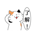 三毛猫の日常会話（個別スタンプ：7）