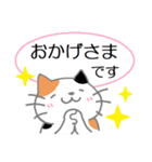 三毛猫の日常会話（個別スタンプ：21）