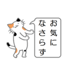 三毛猫の日常会話（個別スタンプ：27）