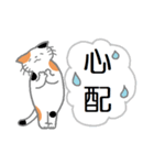 三毛猫の日常会話（個別スタンプ：28）