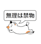 三毛猫の日常会話（個別スタンプ：31）