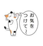 三毛猫の日常会話（個別スタンプ：33）