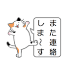 三毛猫の日常会話（個別スタンプ：35）