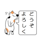 三毛猫の日常会話（個別スタンプ：37）